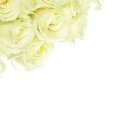 №4, Максим Тарасов, 37 лет, Казань №4, Максим Тарасов, 37 лет, Казань