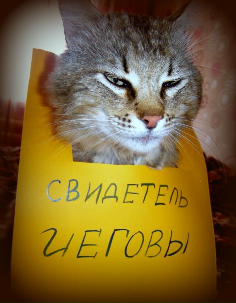 №124, Ксюша Вишнякова, 36 лет, Краснодар, Россия №124, Ксюша Вишнякова, 36 лет, Краснодар, Россия