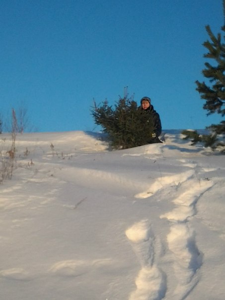 №130, Татьяна Мецгер №130, Татьяна Мецгер