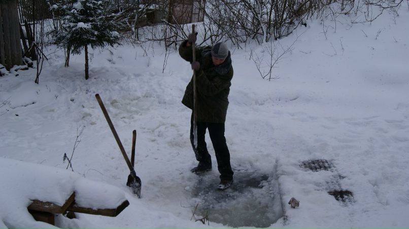 Алексей Цыпочкин | Великий Новгород