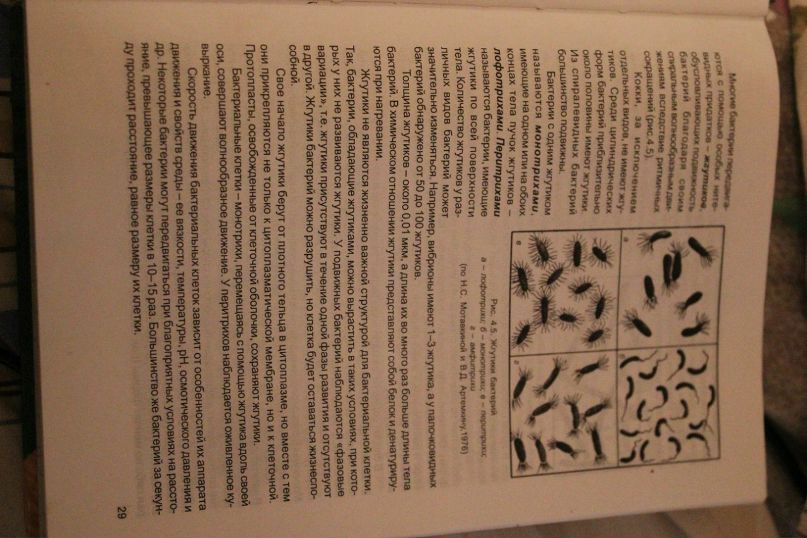 Фатима Сохова | Москва