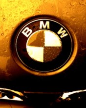 №20, Денис Комлев №20, Денис Комлев