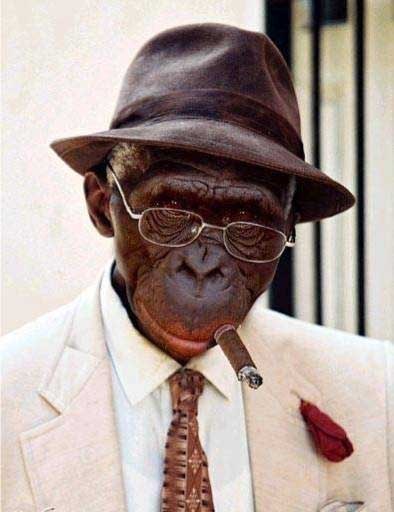 Са Ша | Минск