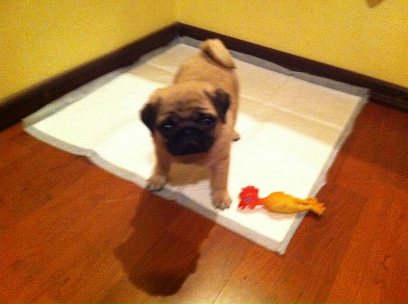 Даша Январь | Limassol