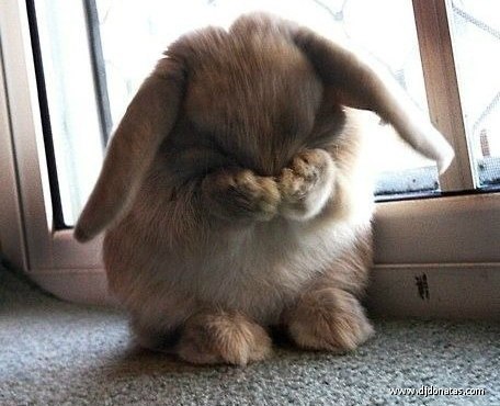 Ирина Задверняк | Санкт-Петербург