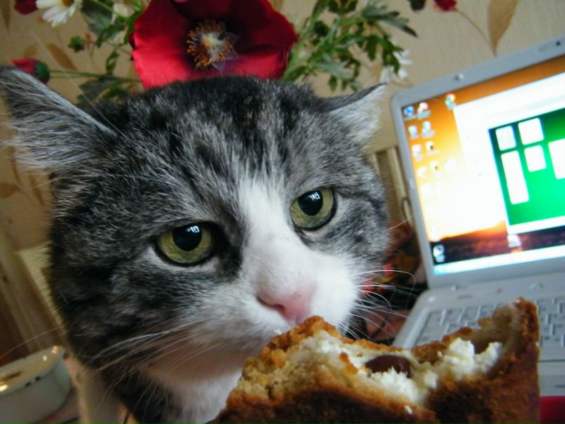 Михаил Маров | Иваново