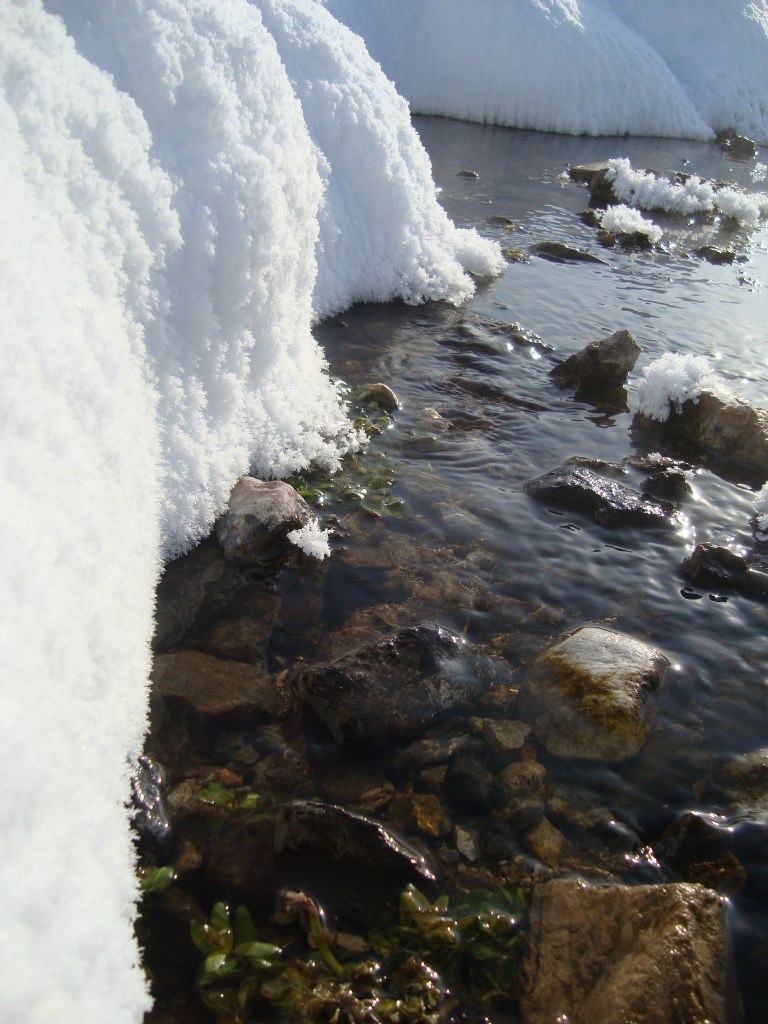 Анатолий Федоренко | Черногорск