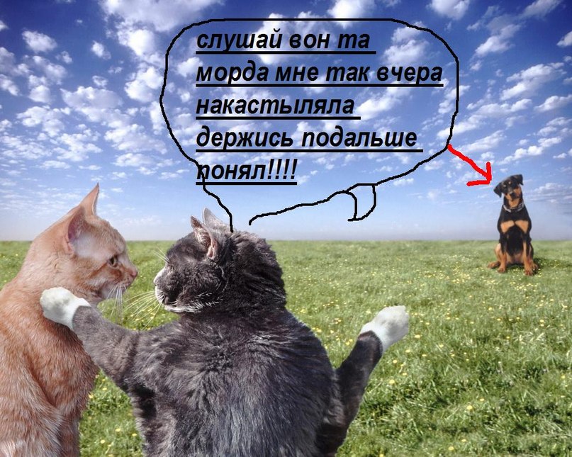 Катя Смолякова | Бийск