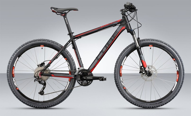 Николай Лутицкий | Санкт-Петербург