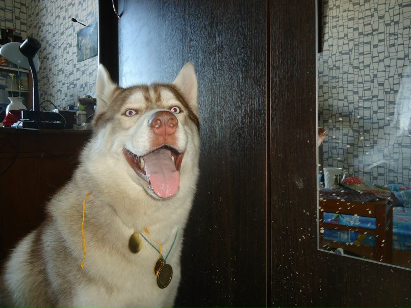 Елизавета Воронцова | Санкт-Петербург