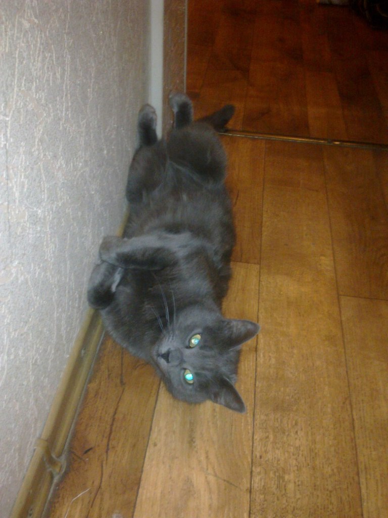 Vladislav Albertovich | Одесса