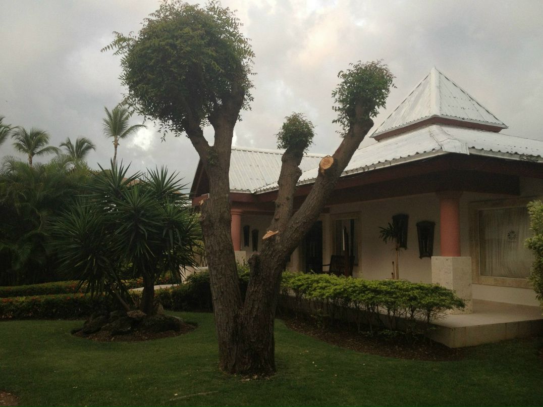 Кирилл Дроздов-Тихомиров | Москва