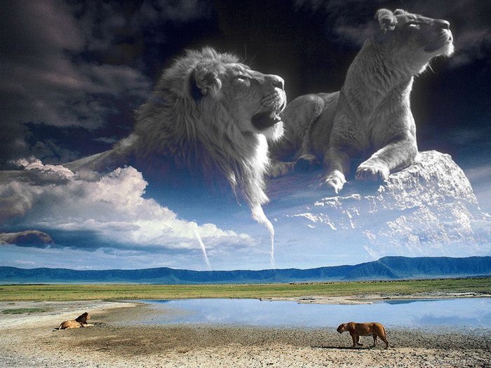 Рома Ясинский | Киев