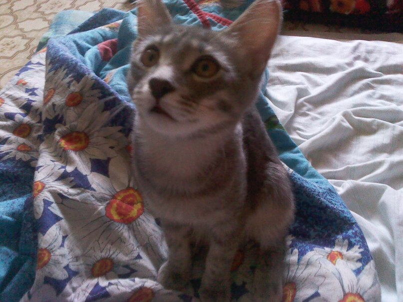 Евгения Троицкая | Набережные Челны