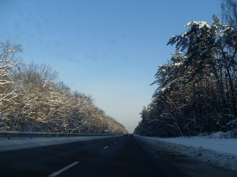 Денис Бабич | Киев