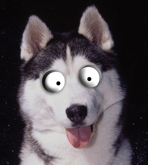 Дарья Калашова | Вологда