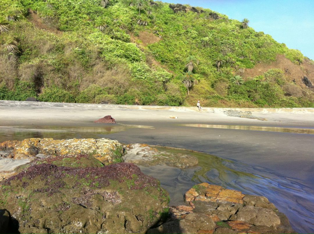 Анна Девицкая | Москва