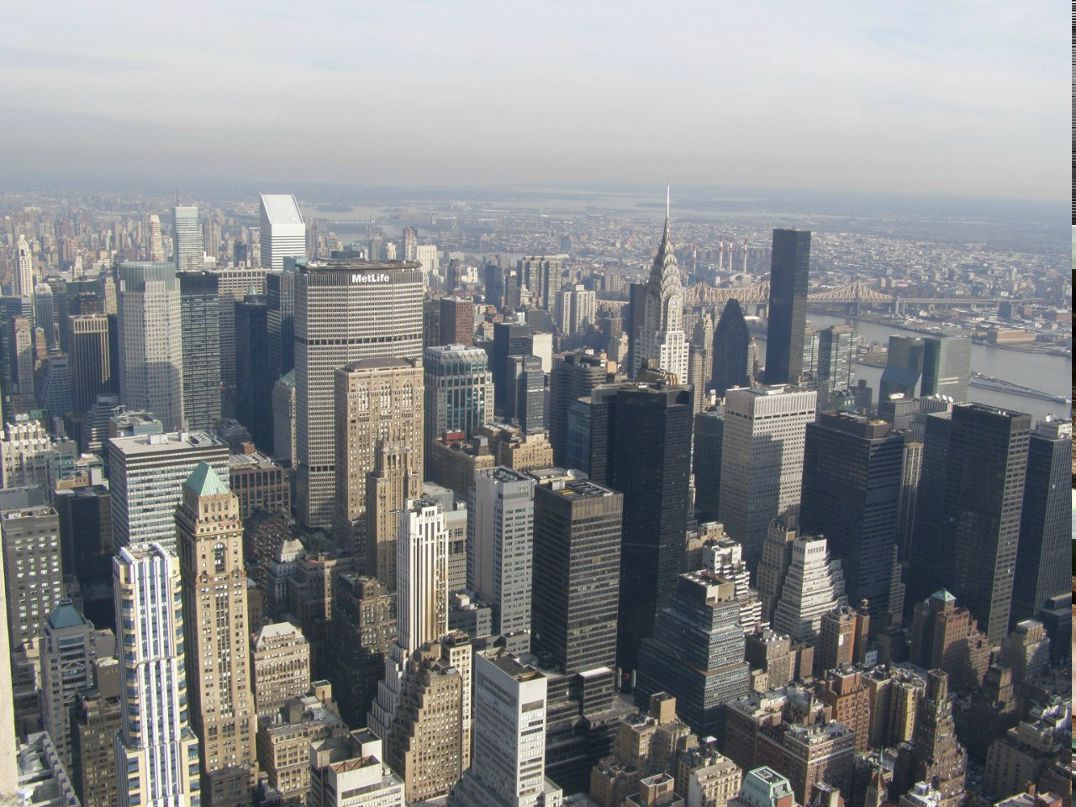 Алексей Тузиков | Москва