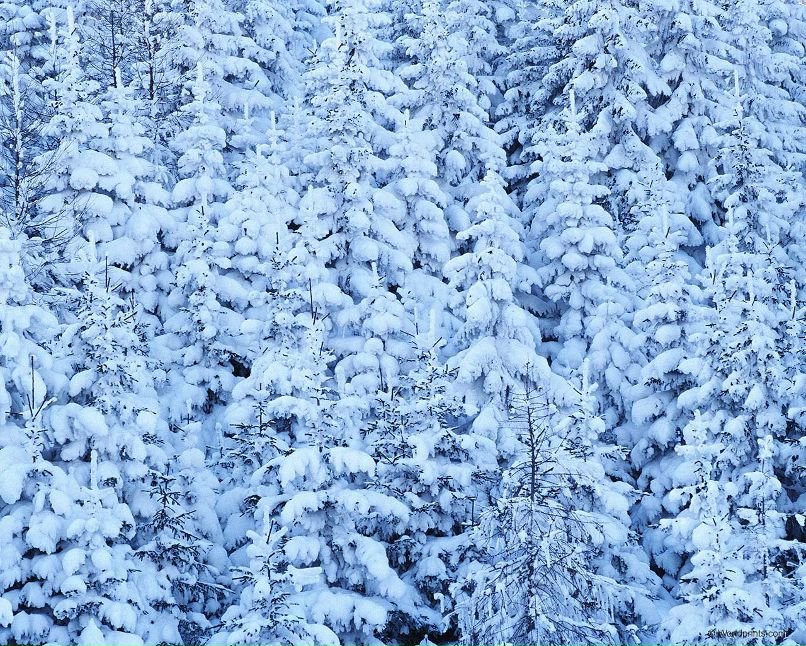 Наталия Маркова | Санкт-Петербург