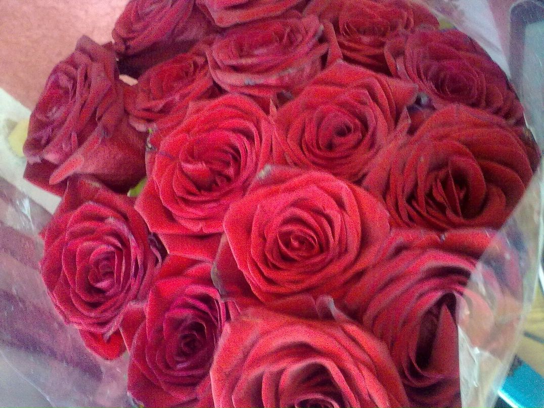 Ксения Поварова | Москва