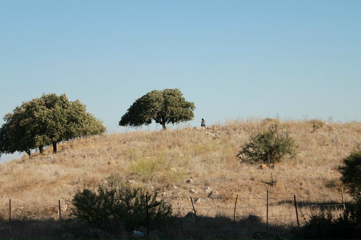 Илья Щербаков | Bat Yam