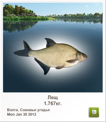 Сергей Шихов | 