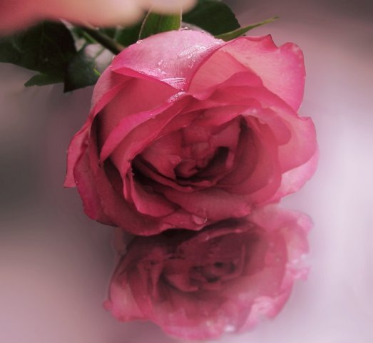 №84, Надежда Янчева, Мариуполь №84, Надежда Янчева, Мариуполь