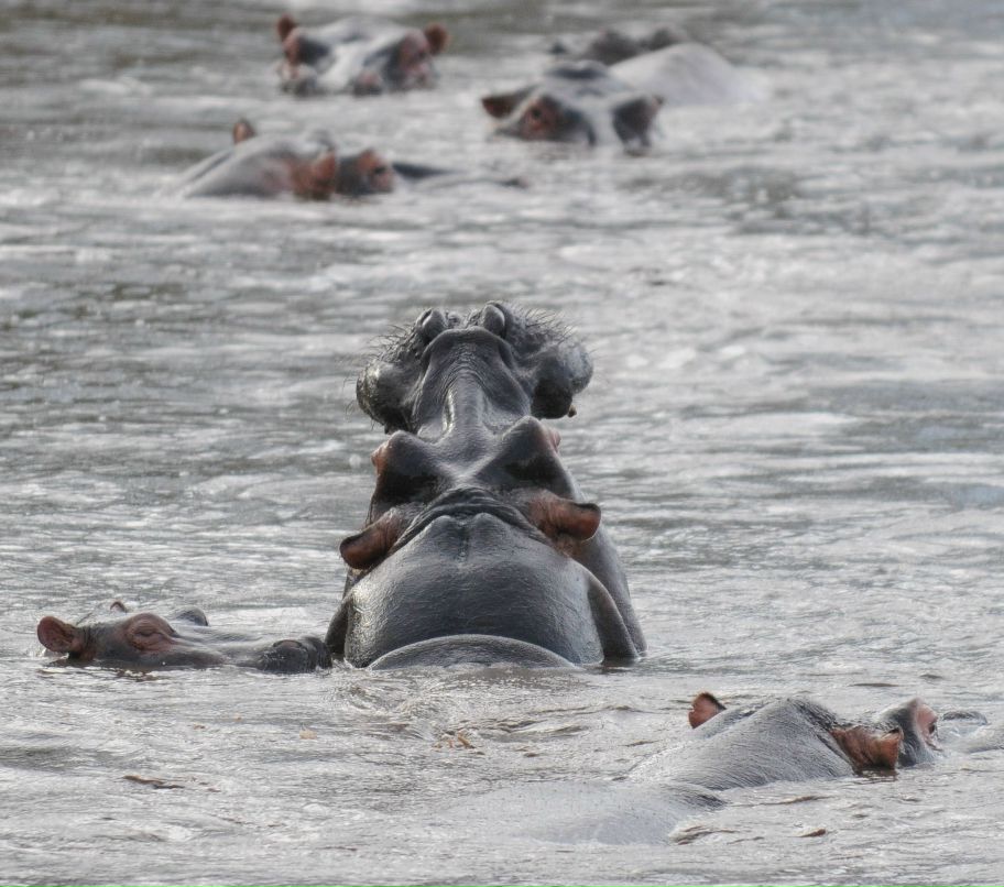 Алексей Фролов | Москва