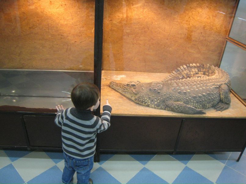 Кристина Матвеева | 