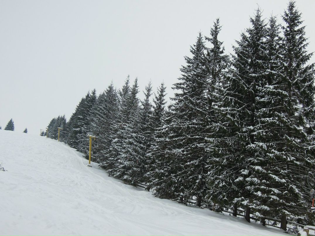 Александр Есипов | Киев