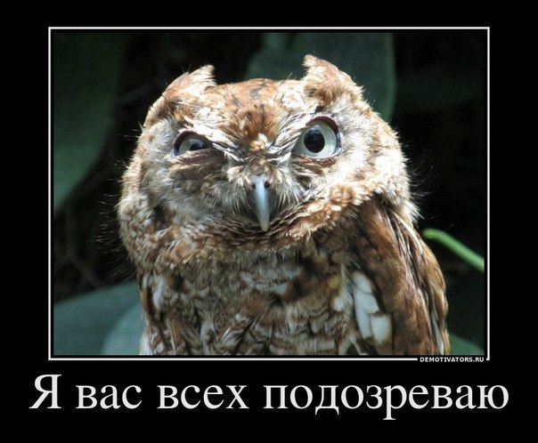 Анна Хмелёвска ♫NankA♫ | Санкт-Петербург