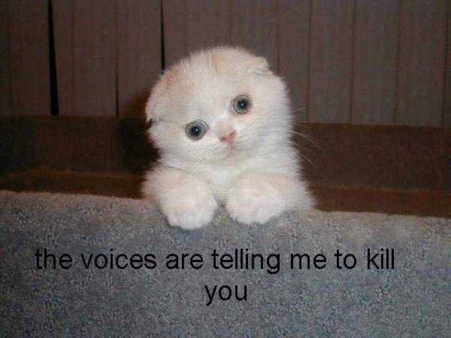 Василь Ягенський | Innsbruck