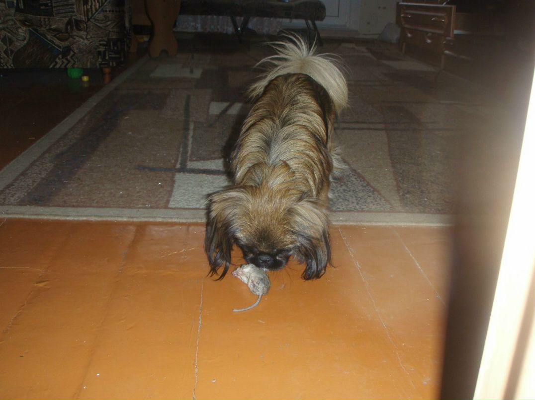 Галина Булачек | Магнитогорск