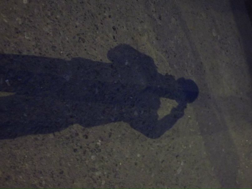 Никита Фокин | Курган