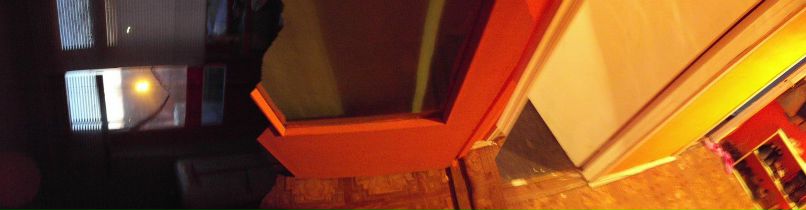 Вова Морозов WS | Habana