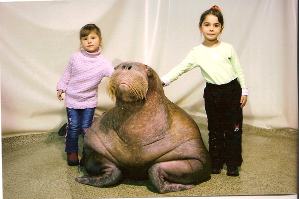 Вика Огурцова фото профиля #4