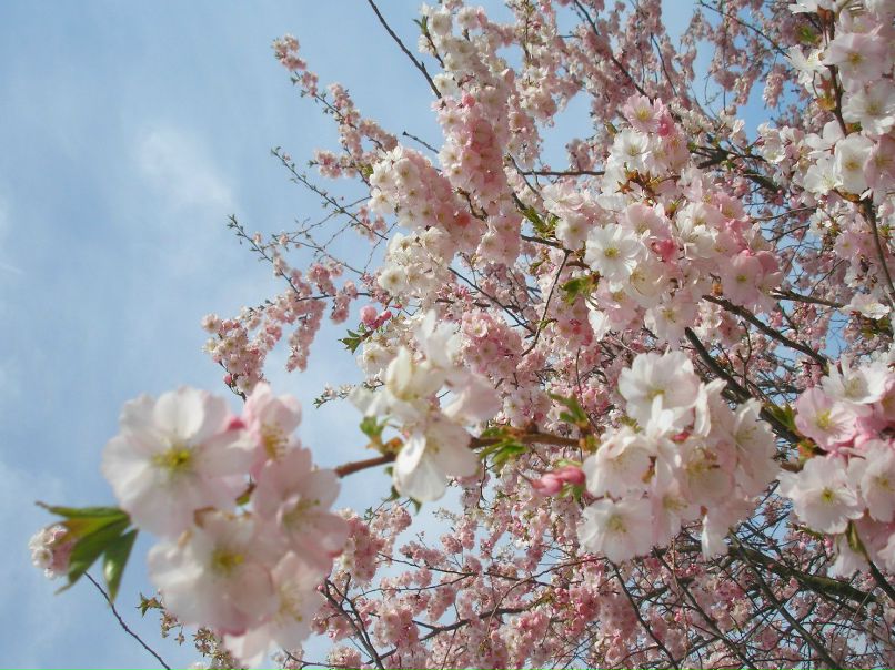 Женя Саликова | Пермь