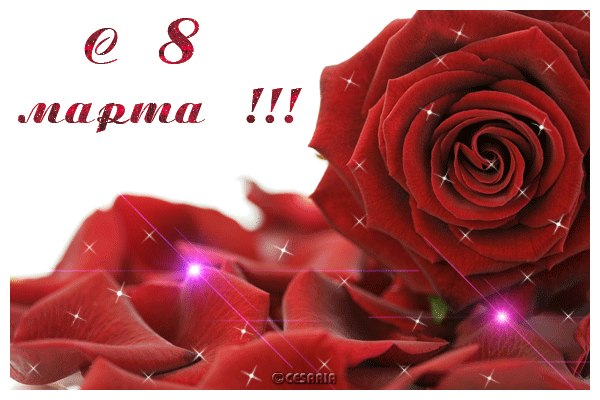 Анастасия Скубашевская | Пенза