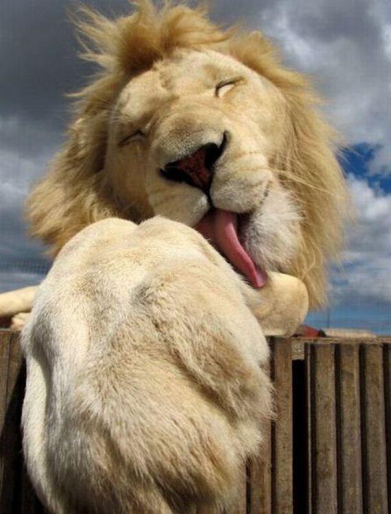 Татьяна Кайгородова | Пермь