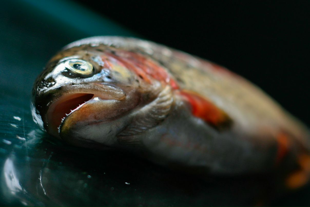 Андрей Уверский ★AU☆ | Helsinki