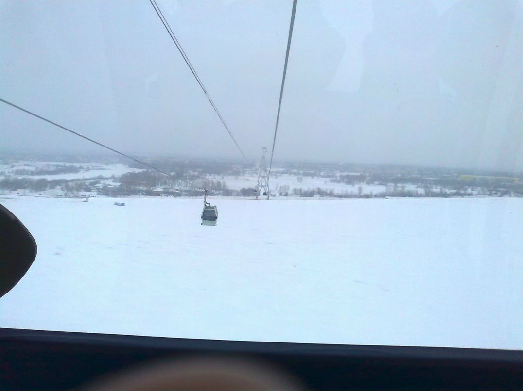 Евгения Белова | Бор