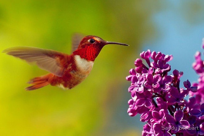 Ксения Мишнина ♔ | 