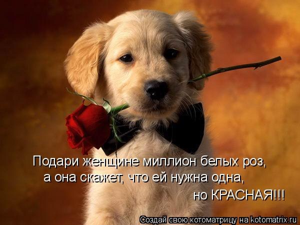 Женек Поляков | Санкт-Петербург