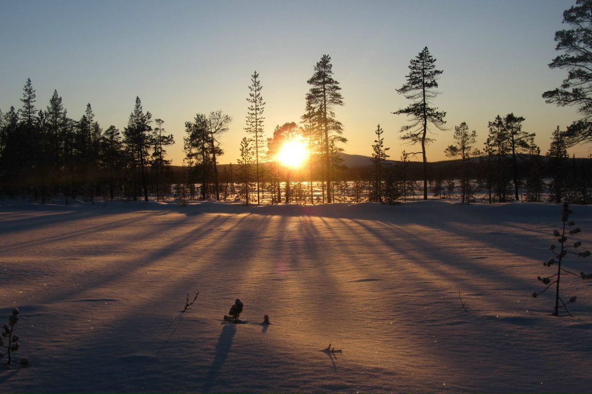Арсений Петрик | Харьков