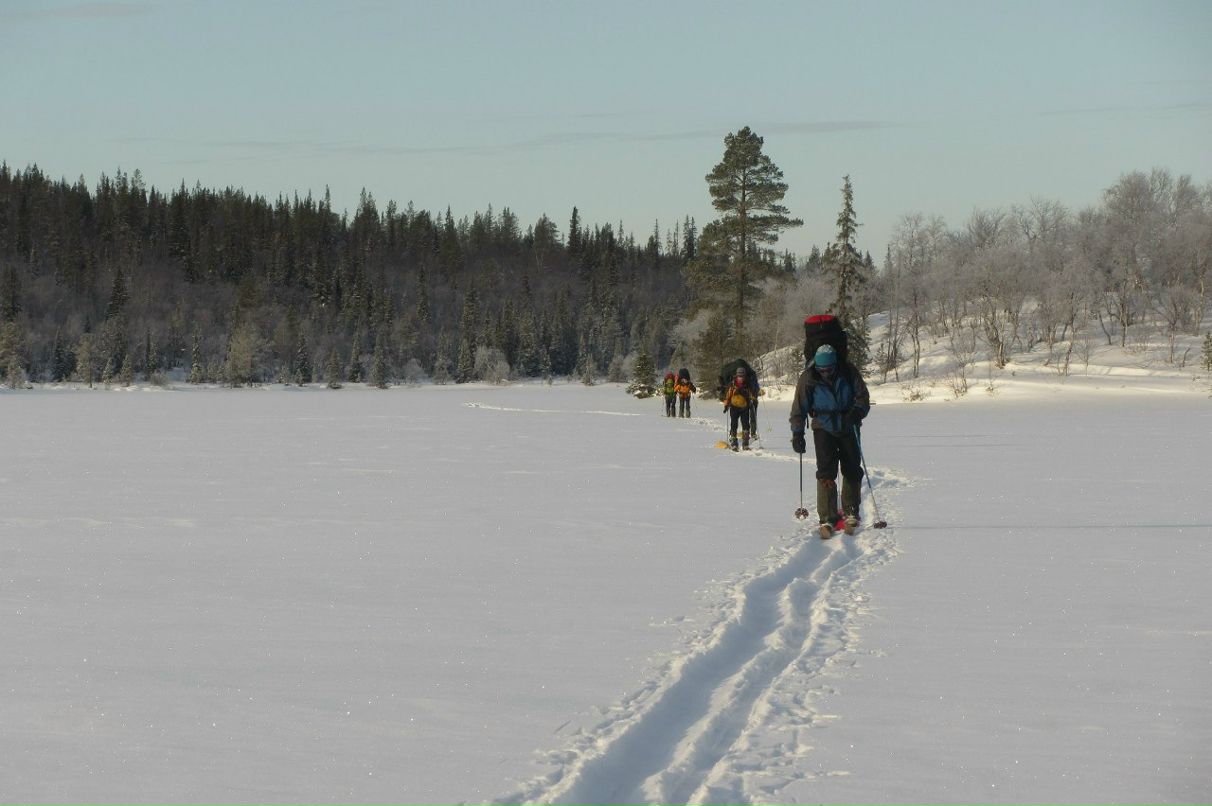 Арсений Петрик | Харьков