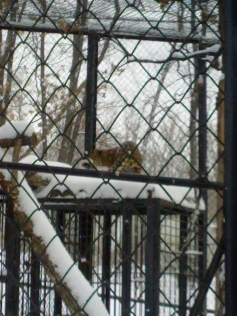 Валентин Пьянков | 