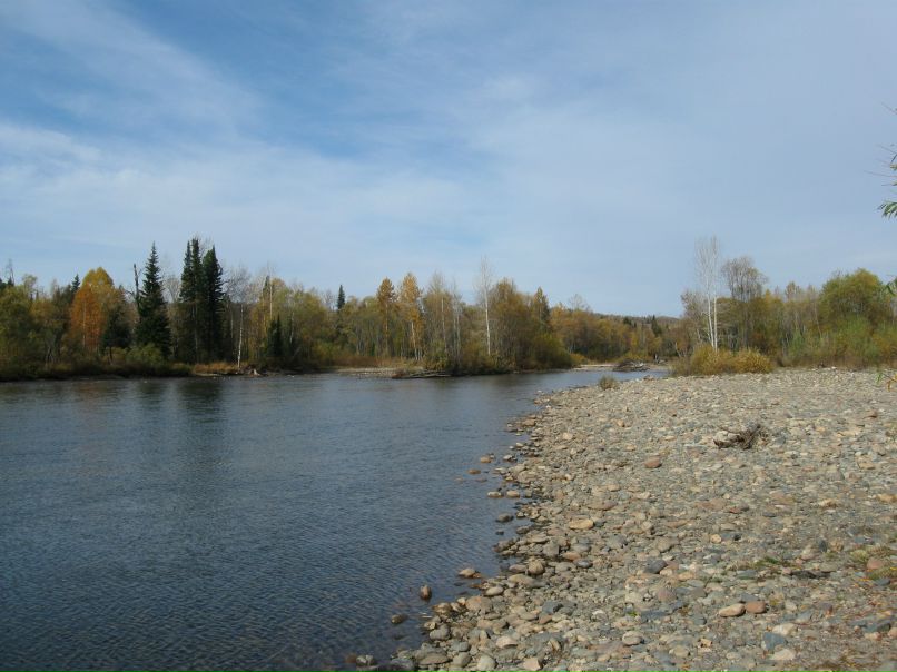 Сергей Концарин Владимирович | Прокопьевск