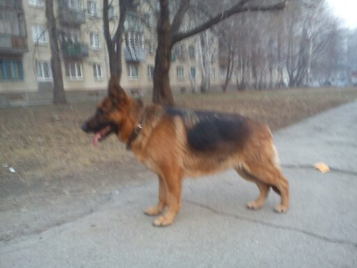 Алексей Кузьминых Валерьевич | Новосибирск