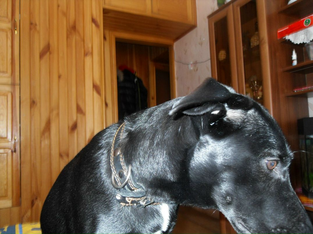 Саня Щанькин | Малоярославец