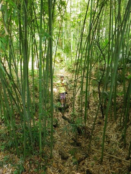 Иван Щевелев | Санкт-Петербург